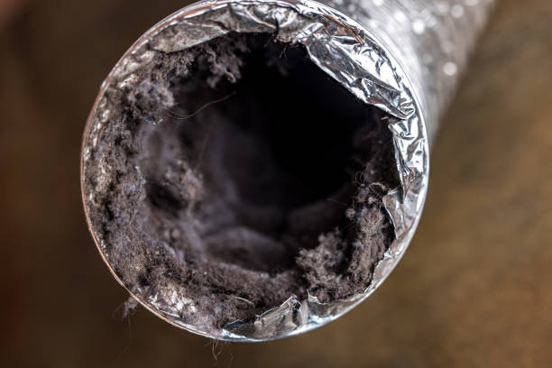 Best HVAC Air Duct Cleaning  in Archdale, NC